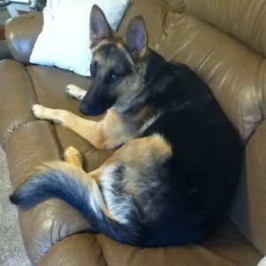 Meet your Posher, Terrance